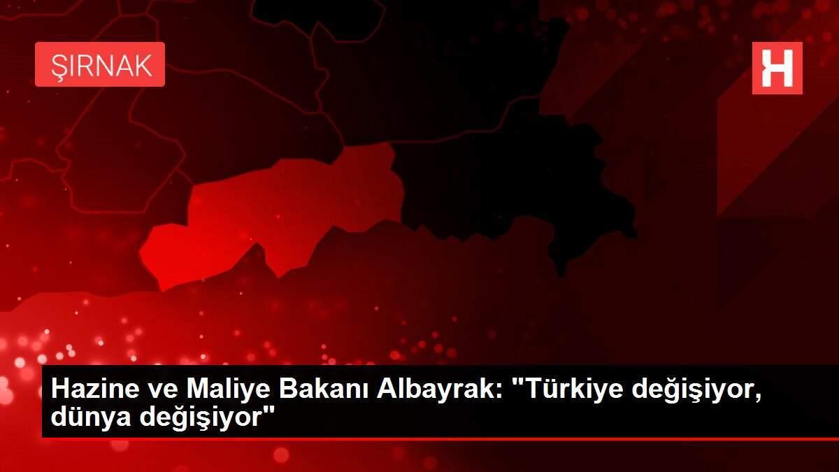 Hazine ve Maliye Bakanı Albayrak: Hazine ve Maliye Bakanı Albayrak:
