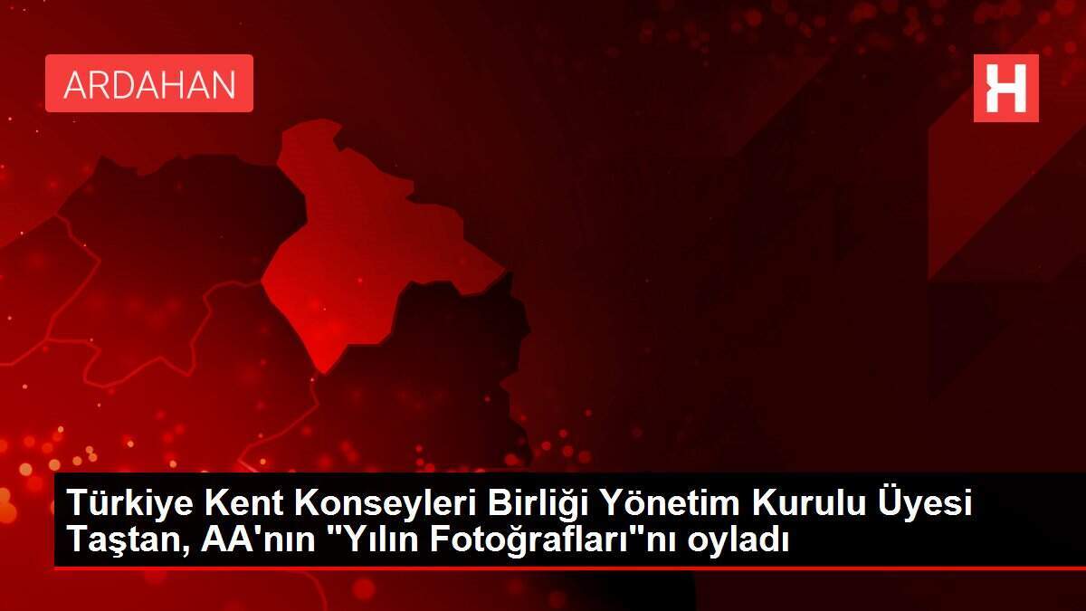 Türkiye Kent Konseyleri Birliği Yönetim Kurulu Üyesi Taştan, AA'nın 'Yılın Fotoğrafları'nı oyladı