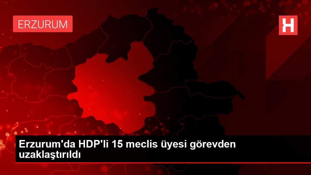 Erzurum'da HDP'li 15 meclis üyesi görevden uzaklaştırıldı Erzurum'da HDP'li 15 meclis üyesi görevden uzaklaştırıldı