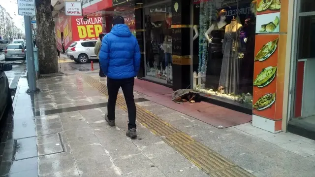 Kaldırımda yatan köpeği soğuktan korumak için üzerine hırka örttüler Kaldırımda yatan köpeği soğuktan korumak için üzerine hırka örttüler