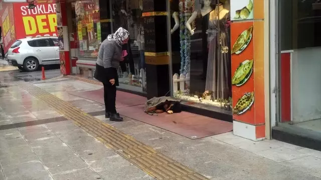 Kaldırımda yatan köpeği soğuktan korumak için üzerine hırka örttüler Kaldırımda yatan köpeği soğuktan korumak için üzerine hırka örttüler