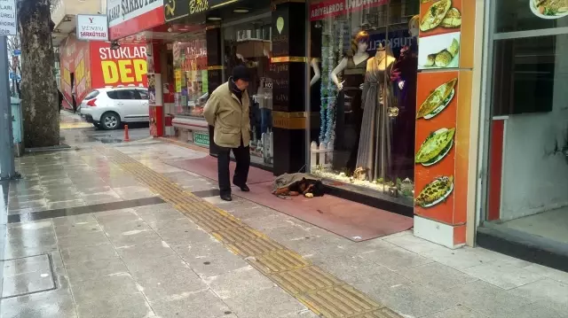 Kaldırımda yatan köpeği soğuktan korumak için üzerine hırka örttüler Kaldırımda yatan köpeği soğuktan korumak için üzerine hırka örttüler