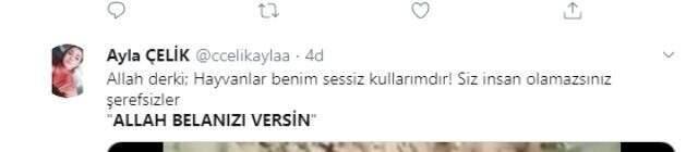 Türkiye'yi ayağa kaldıran görüntü! Köpeği zehirleyip çukura attılar