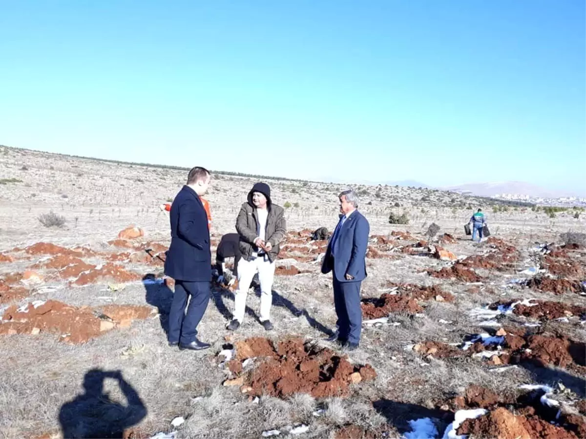 Altıntaş'ta alternatif ürün yetiştiriciliği