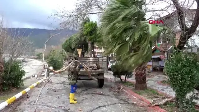 Balıkesir marmara adası’ndaki elektrik kesintisi sürüyor-6