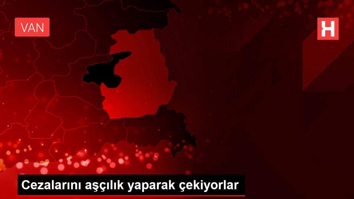 Cezalarını aşçılık yaparak çekiyorlar