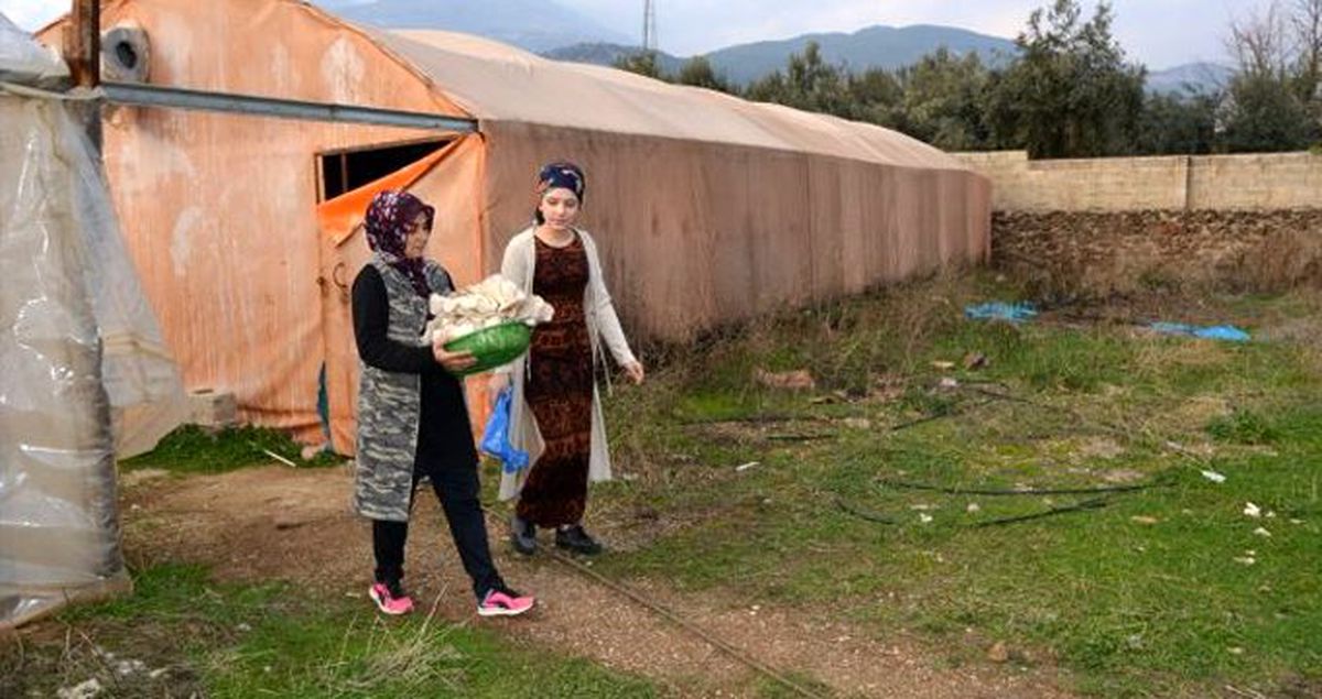 Devlet desteğiyle kurduğu mantar tesisiyle kendi işinin patronu oldu