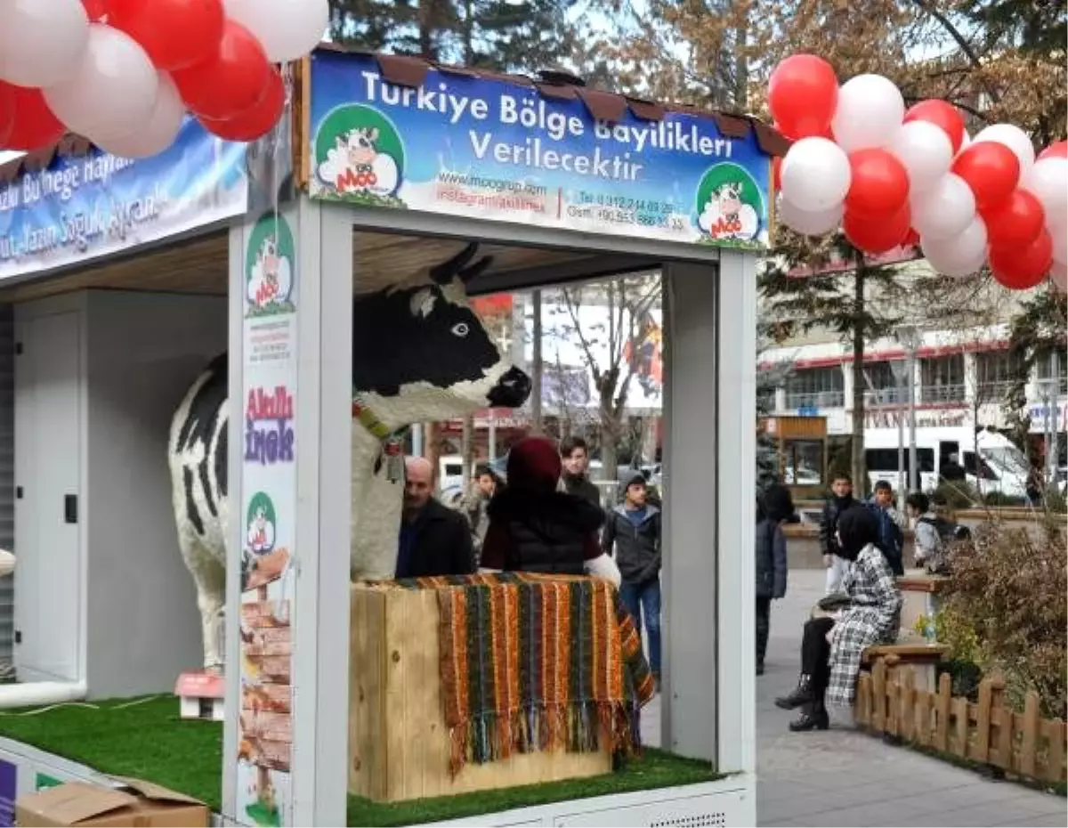 Gümüşhane'de 'akıllı inek' projesine ilgi