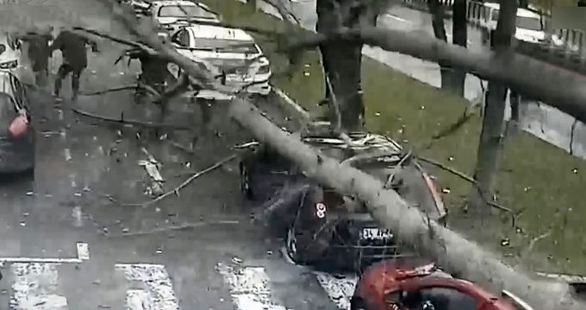 İstanbul'da ağaç, yolda yürüyen vatandaşların üzerine devrildi