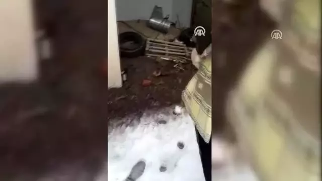 Yaylada karda bulduğu köpek ve 6 yavrusuna sahip çıktı Yaylada karda bulduğu köpek ve 6 yavrusuna sahip çıktı