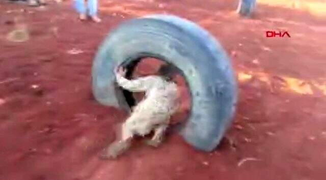 Ankara'da gözaltına alınan 6 DEAŞ'lının bilgisayar ve cep telefonlarından çocukların görüntüleri çıktı