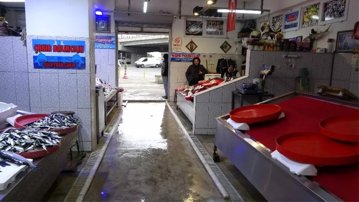 Balıkçı esnafının gözü Gürcistan'dan gelecek hamside