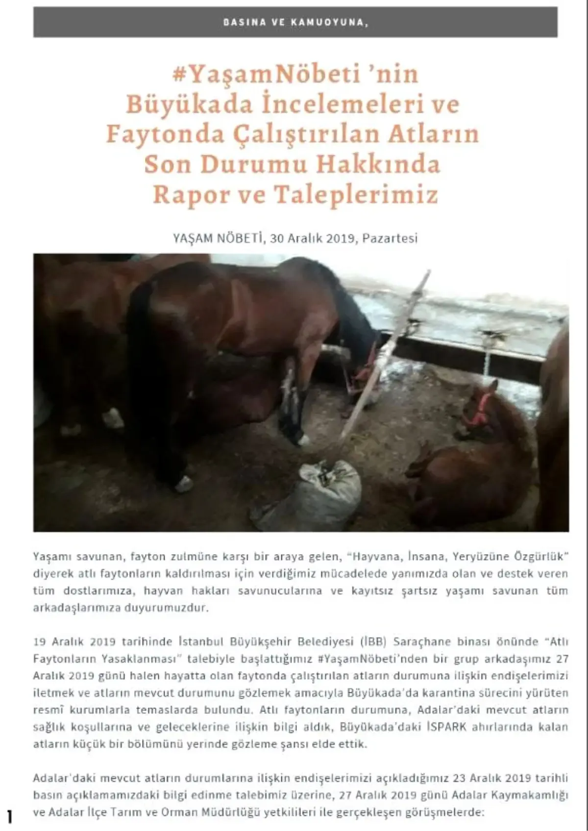 Büyükada'daki karantina ahırları görüntülendi