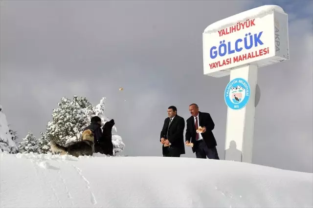 Gölcük Yaylası'nda kar sonrası aç kalan hayvanlar için yiyecek bırakıldı Gölcük Yaylası'nda kar sonrası aç kalan hayvanlar için yiyecek bırakıldı