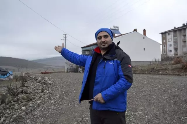Aç kalan domuzlar mahalleye indi Aç kalan domuzlar mahalleye indi
