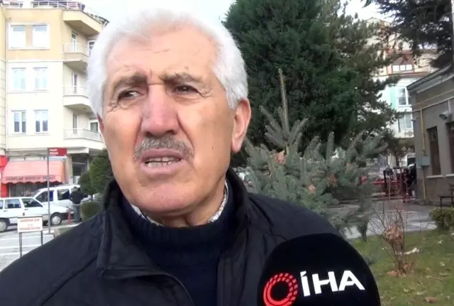 Aç kalan domuzlar mahalleye indi Aç kalan domuzlar mahalleye indi