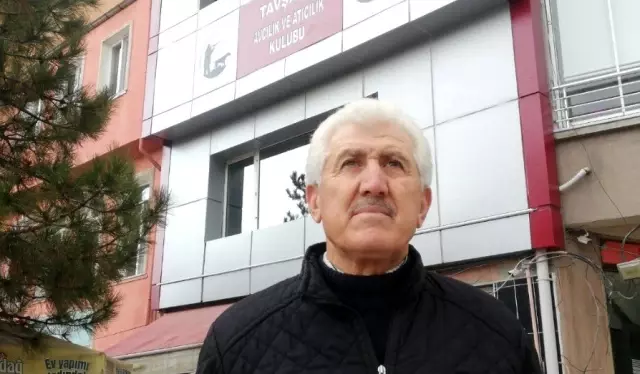 Aç kalan domuzlar mahalleye indi Aç kalan domuzlar mahalleye indi