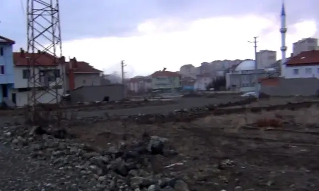Aç kalan domuzlar mahalleye indi Aç kalan domuzlar mahalleye indi