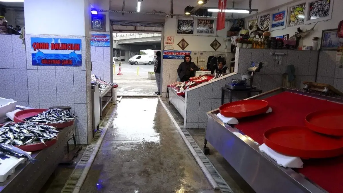 Balıkçı esnafının gözü Gürcistan'dan gelecek hamside