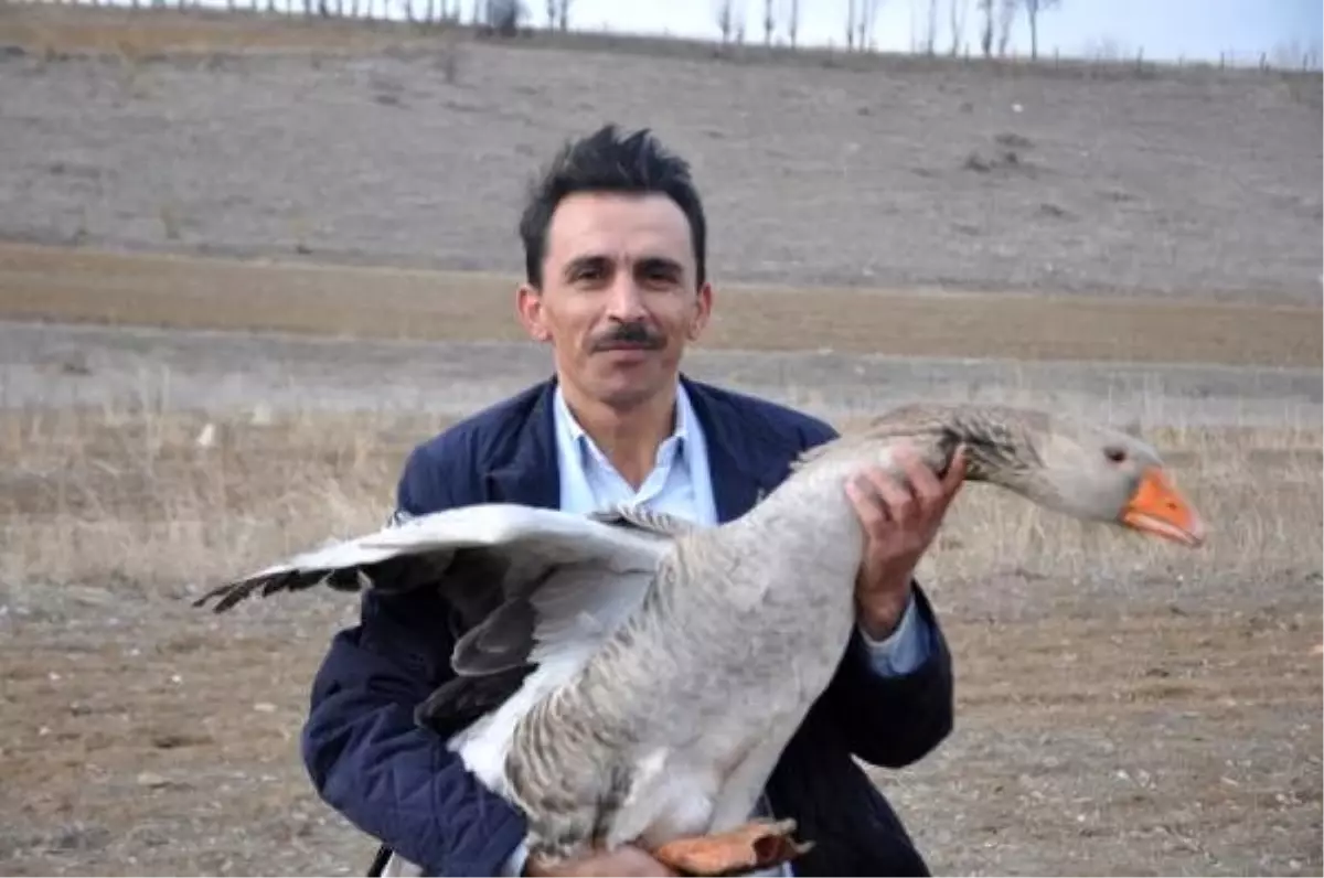 Fransiz Kazlari Ile Ciftlik Kurdu 300 Bin Lira Gelir Hedefliyor Ekonomi