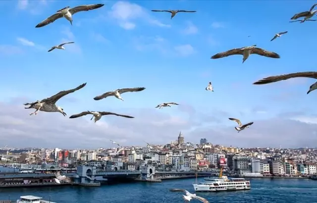 Istanbul Un Enflasyonu Aciklandi Istanbul