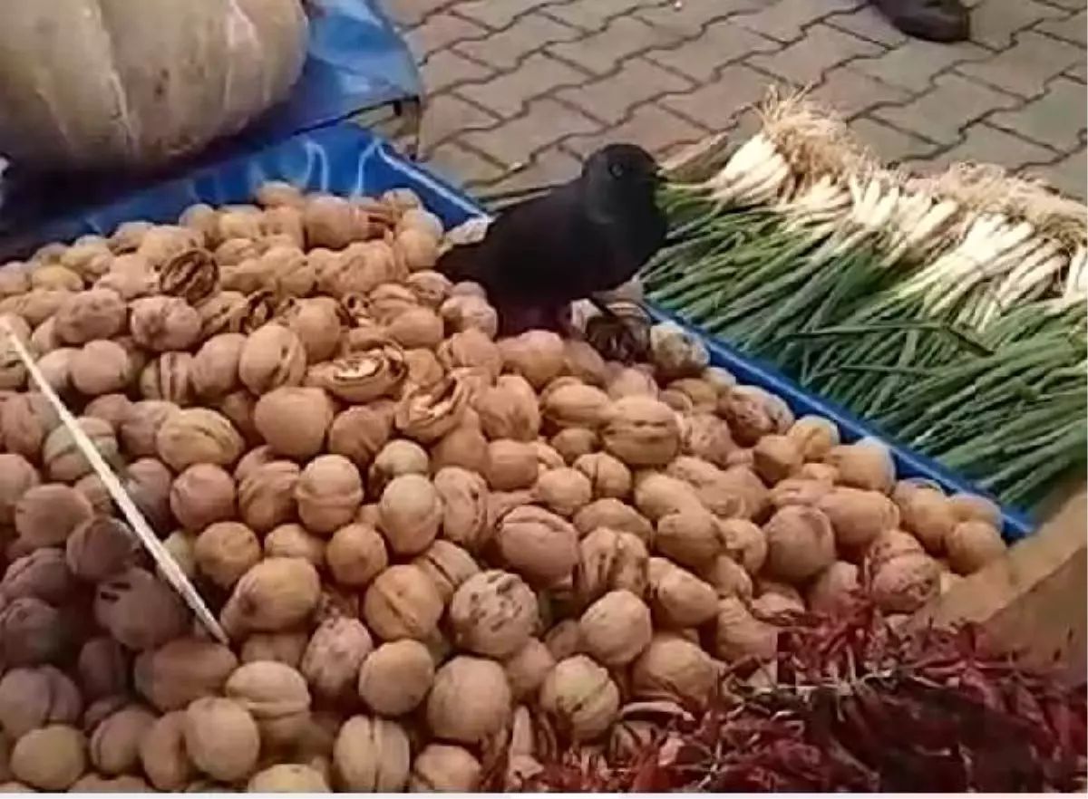 Pazar tezgahına konan karganın cevizleri yediği anlar ilgi çekti