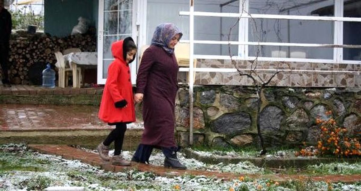 Kızı için yumurta üretmeye başladı, 8 yılda 10 bin tavuklu çiftlik kurdu