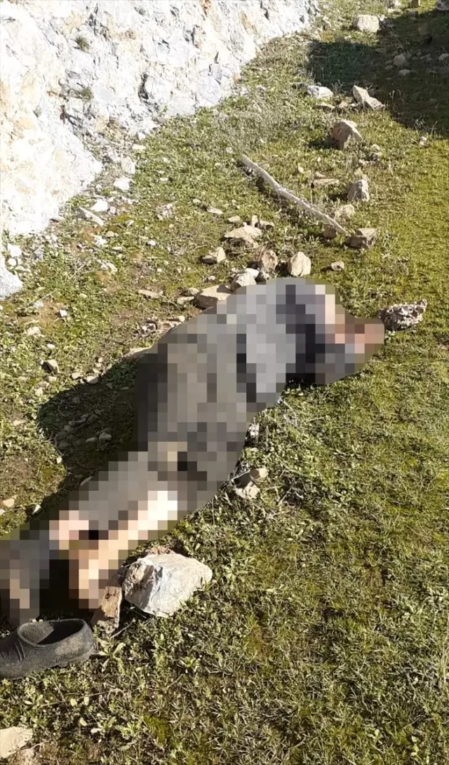 Aydın'da yürüyüş için evinden ayrılan yaşlı adam ölü bulundu