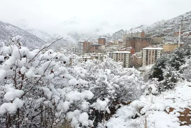 Gümüşhane'de kar yağışı