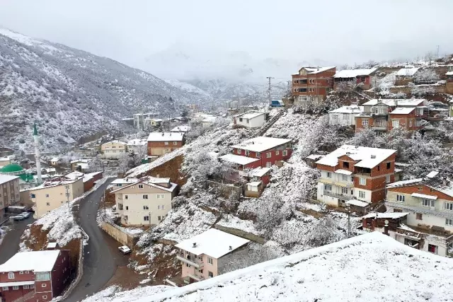 Gümüşhane'de kar yağışı