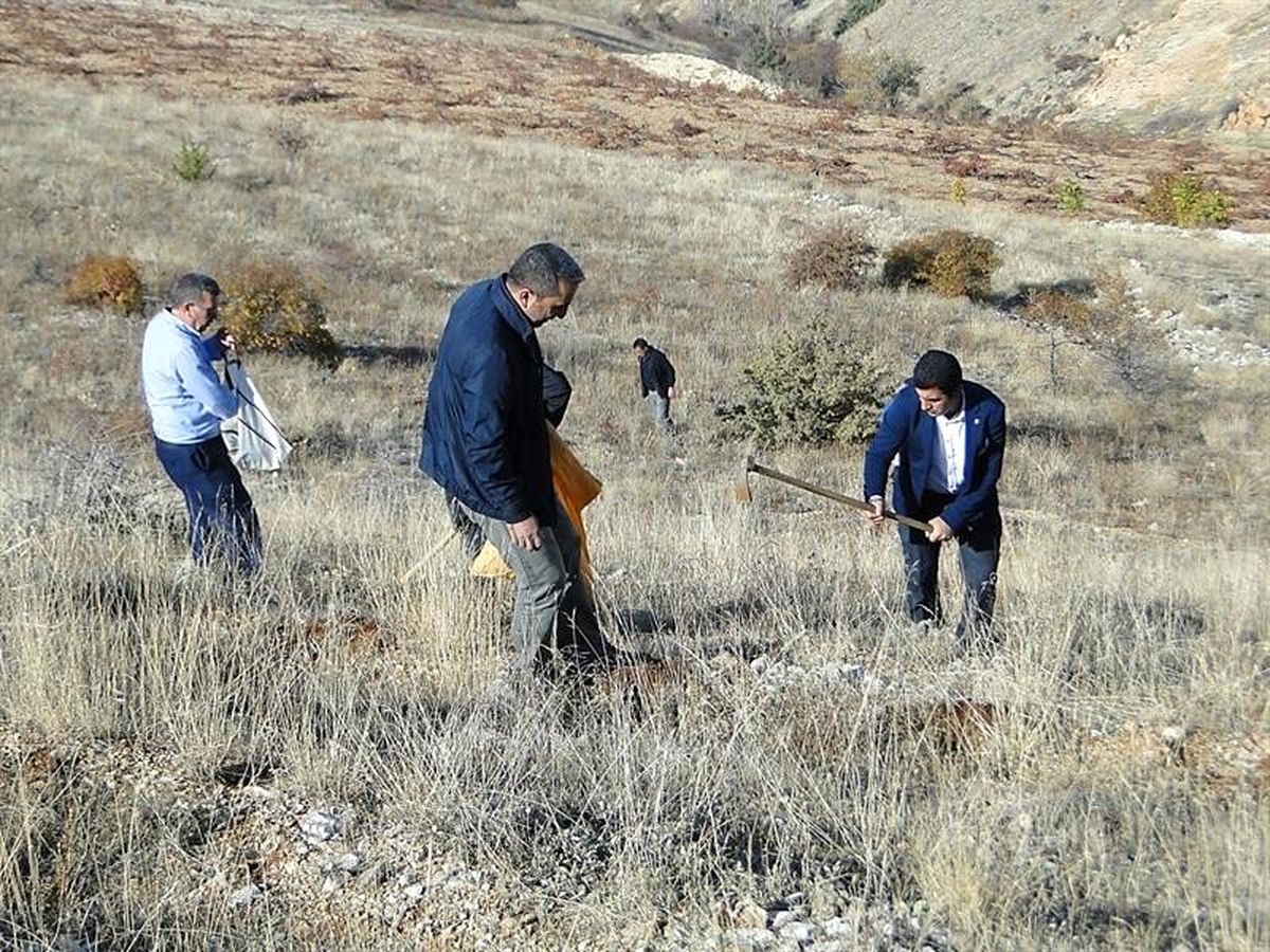 Tarım havzalarında desteklenecek ürünler açıklandı