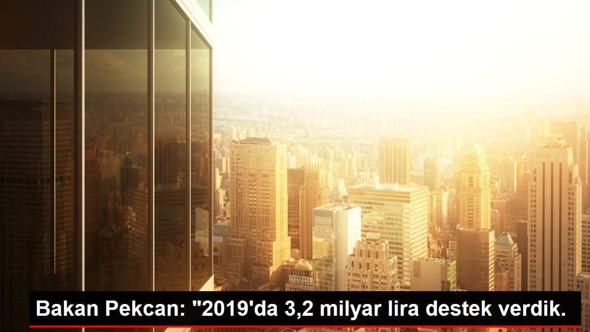 Bakan Pekcan: '2019'da 3,2 milyar lira destek verdik.