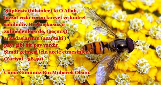 Cuma mesajları 2020 - Resimli Cuma mesajları, anlamlı Cuma mesajları