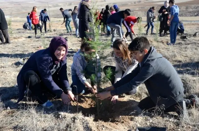 Emekli maaşıyla 200 bine yakın fidanı toprakla buluşturdu Emekli maaşıyla 200 bine yakın fidanı toprakla buluşturdu