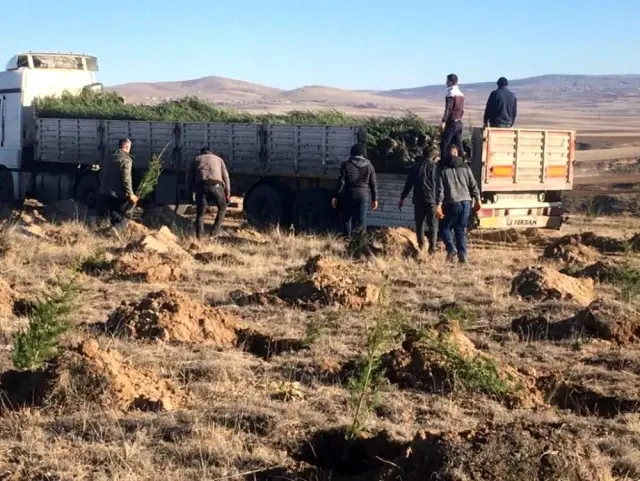 Emekli maaşıyla 200 bine yakın fidanı toprakla buluşturdu Emekli maaşıyla 200 bine yakın fidanı toprakla buluşturdu