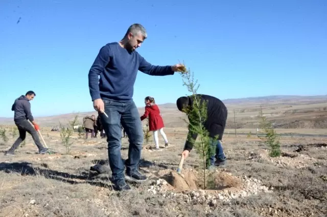 Emekli maaşıyla 200 bine yakın fidanı toprakla buluşturdu Emekli maaşıyla 200 bine yakın fidanı toprakla buluşturdu