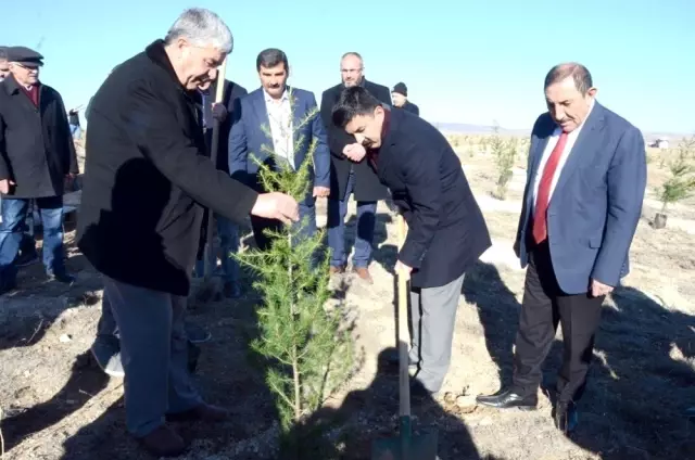 Emekli maaşıyla 200 bine yakın fidanı toprakla buluşturdu Emekli maaşıyla 200 bine yakın fidanı toprakla buluşturdu