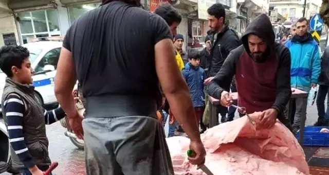 Sokak ortasında deveye yapılan işkence cezasız kalmadı