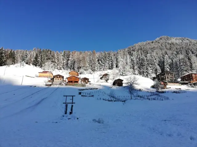 Doğu Karadeniz'de kar yağışı Doğu Karadeniz'de kar yağışı