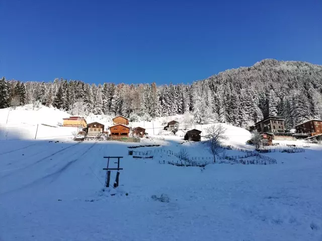Doğu Karadeniz'de kar yağışı Doğu Karadeniz'de kar yağışı