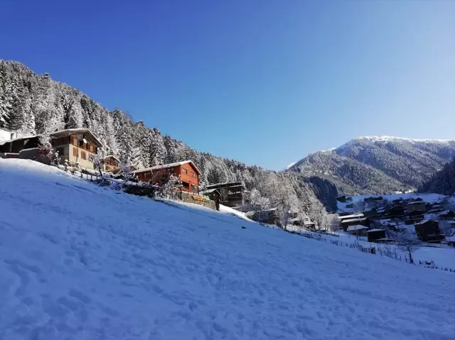 Doğu Karadeniz'de kar yağışı Doğu Karadeniz'de kar yağışı