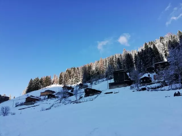 Doğu Karadeniz'de kar yağışı Doğu Karadeniz'de kar yağışı