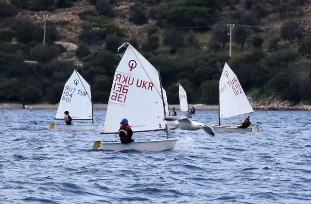 1. Mandalin Kupası Yelken Yarışları