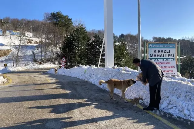 Uludağ'daki kar ve soğuk onları vurdu