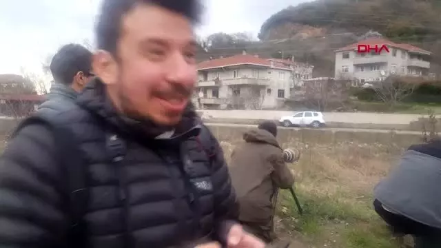 Zonguldak türkiye'de nadir görülen kuş türü zonguldak'ta fotoğraflandı Zonguldak türkiye'de nadir görülen kuş türü zonguldak'ta fotoğraflandı