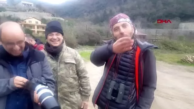 Zonguldak türkiye'de nadir görülen kuş türü zonguldak'ta fotoğraflandı Zonguldak türkiye'de nadir görülen kuş türü zonguldak'ta fotoğraflandı
