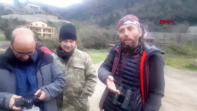 Zonguldak türkiye'de nadir görülen kuş türü zonguldak'ta fotoğraflandı Zonguldak türkiye'de nadir görülen kuş türü zonguldak'ta fotoğraflandı