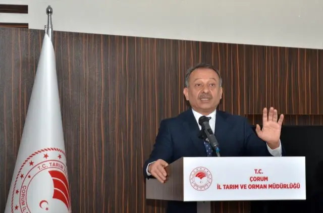 Çorum'da süneyle mücadele için 4 bin karadut fidanı dikilecek