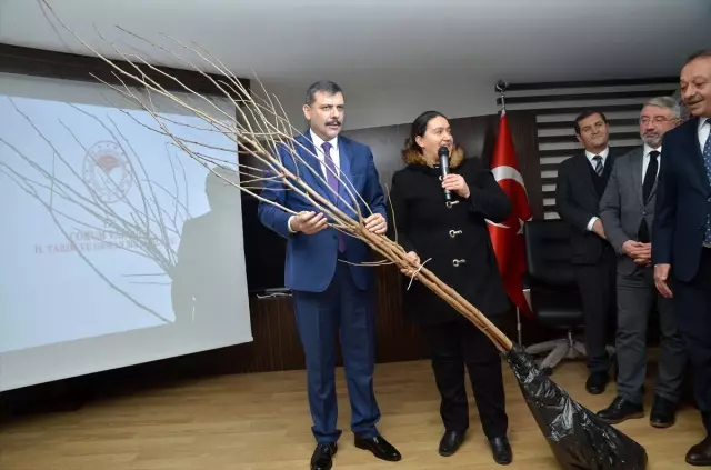 Çorum'da süneyle mücadele için 4 bin karadut fidanı dikilecek
