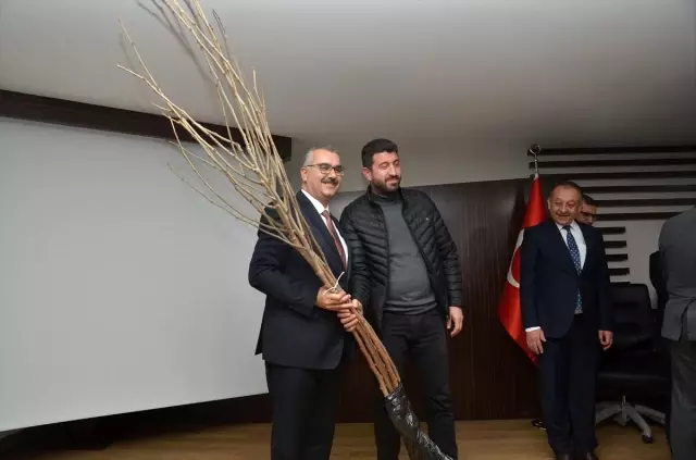 Çorum'da süneyle mücadele için 4 bin karadut fidanı dikilecek